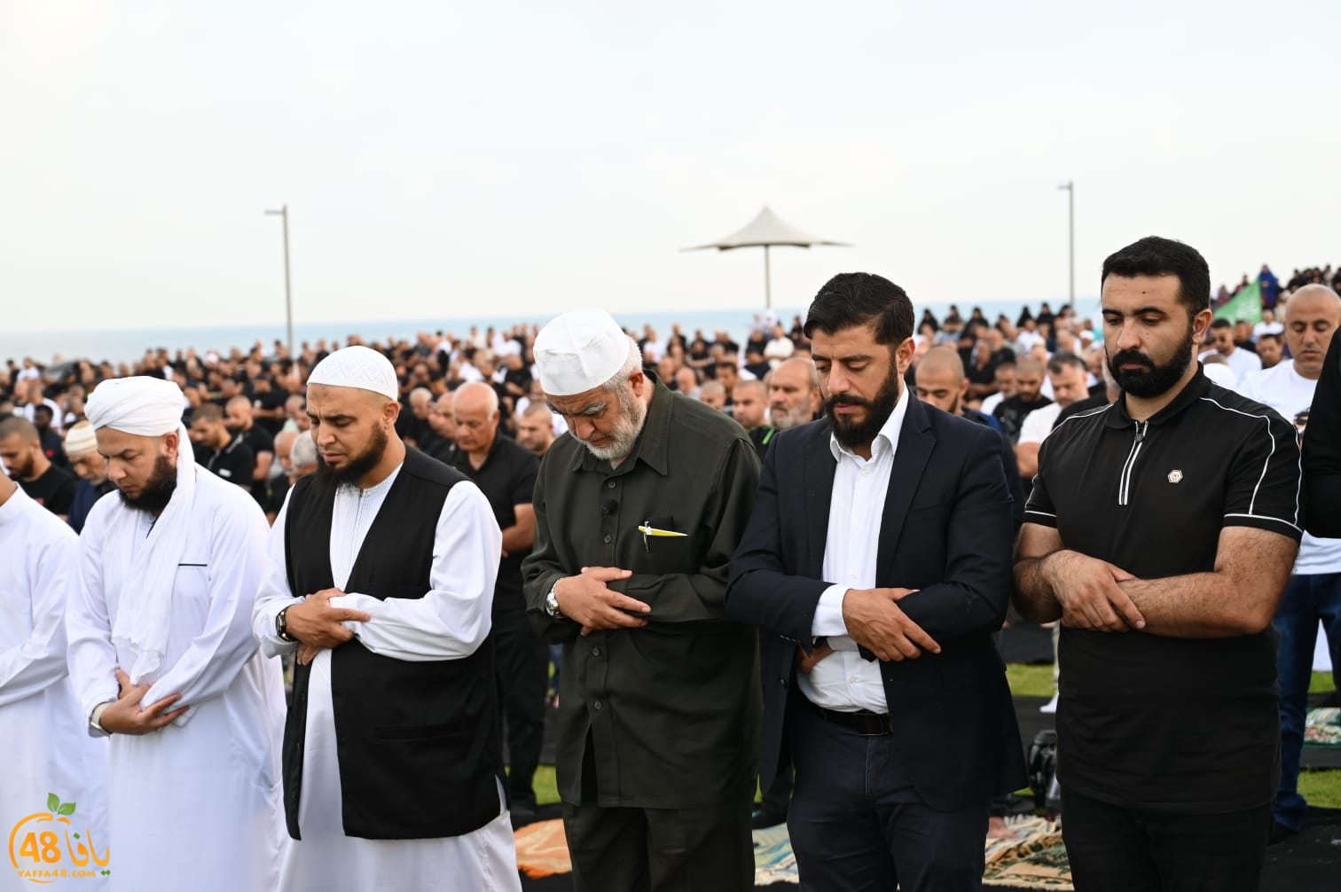 WhatsApp Image 2023-06-28 at 5.41.43 PM.jpeg